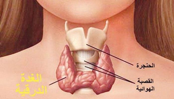 الغدة الدرقية